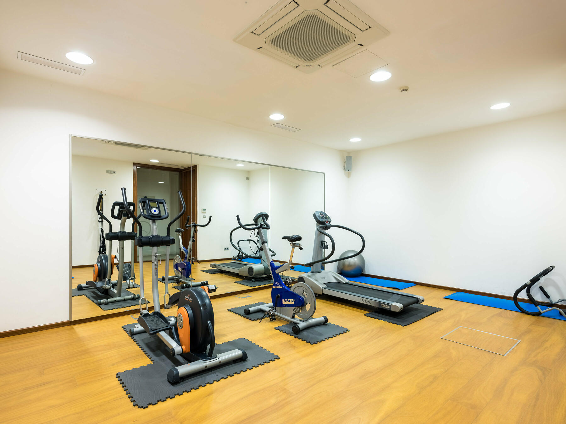 Gimnasio general v2.jpg